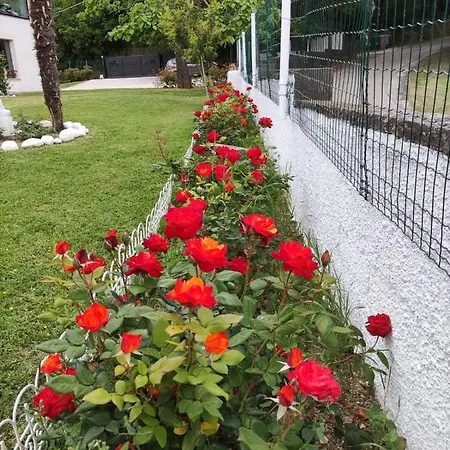 Nyaraló Cara Pace In Collina Per Gruppi