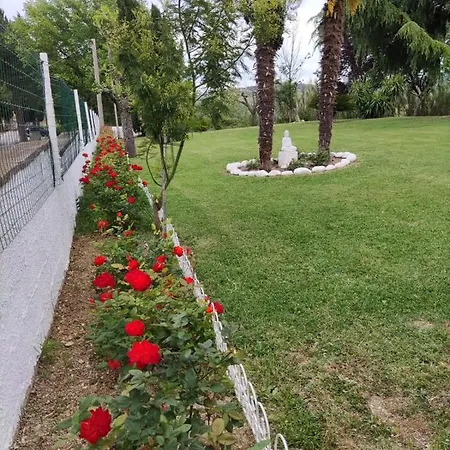 Cara Pace In Collina Per Gruppi Holiday home Montefiore Conca