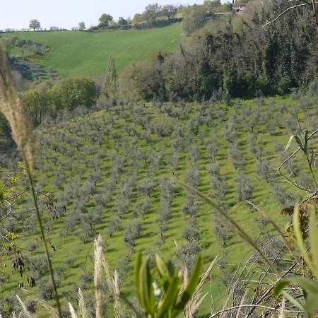 Cara Pace In Collina Per Gruppi * 몬테피오레 콘사