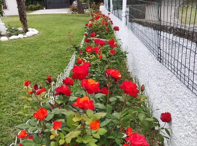 בית נופש Cara Pace In Collina Per Gruppi