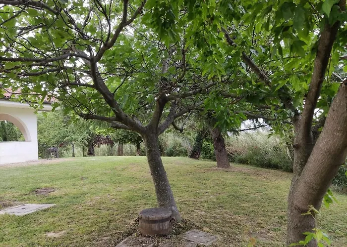 Cara Pace In Collina Per Gruppi בית נופש Montefiore Conca