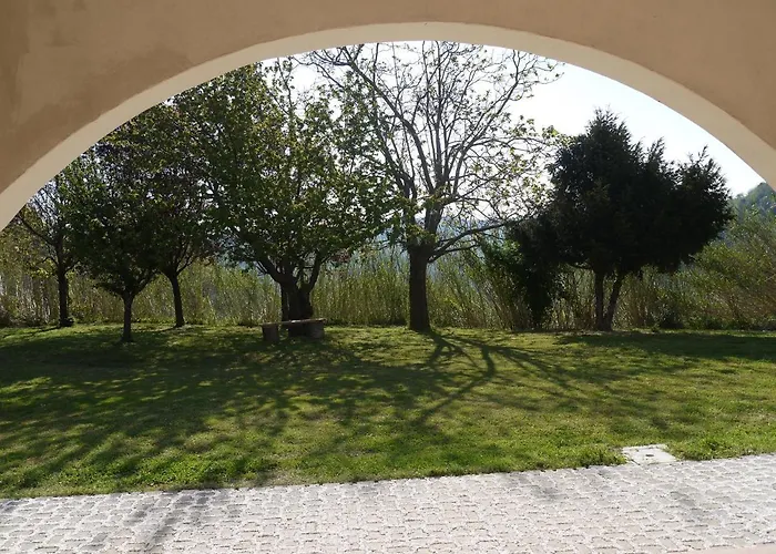 Cara Pace In Collina Per Gruppi