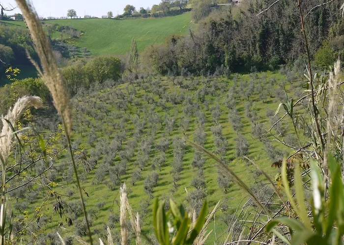 Cara Pace In Collina Per Gruppi * Montefiore Conca