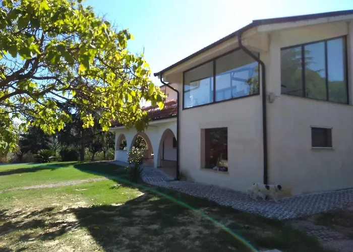 Cara Pace In Collina Per Gruppi